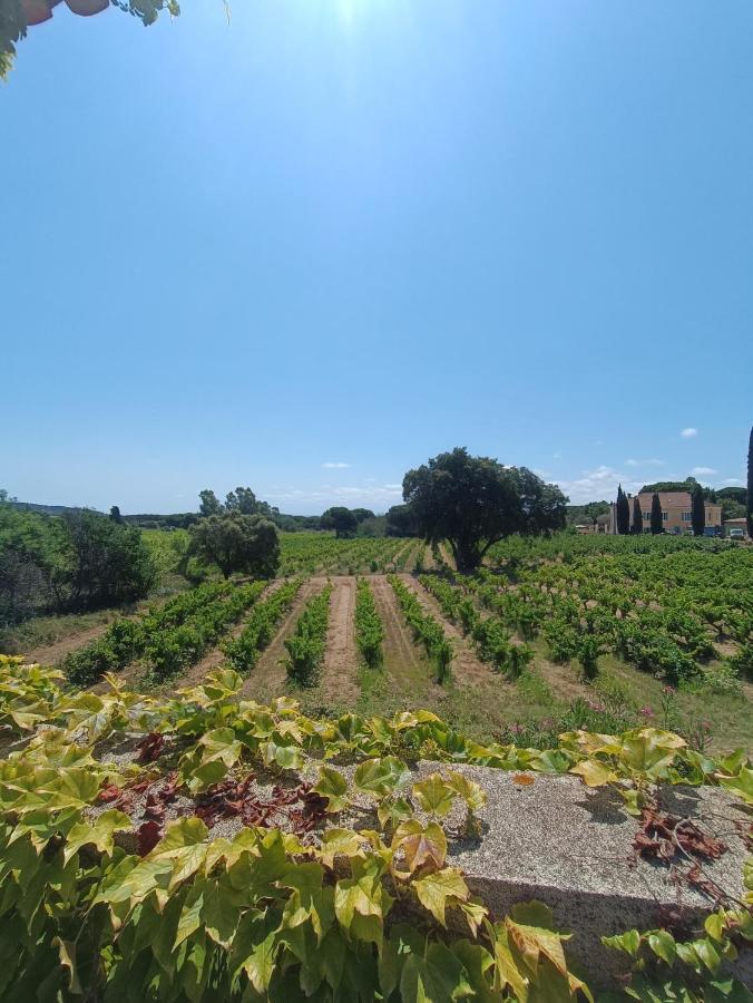 Camp De Base Dei Marres Hotel Ramatuelle Kültér fotó
