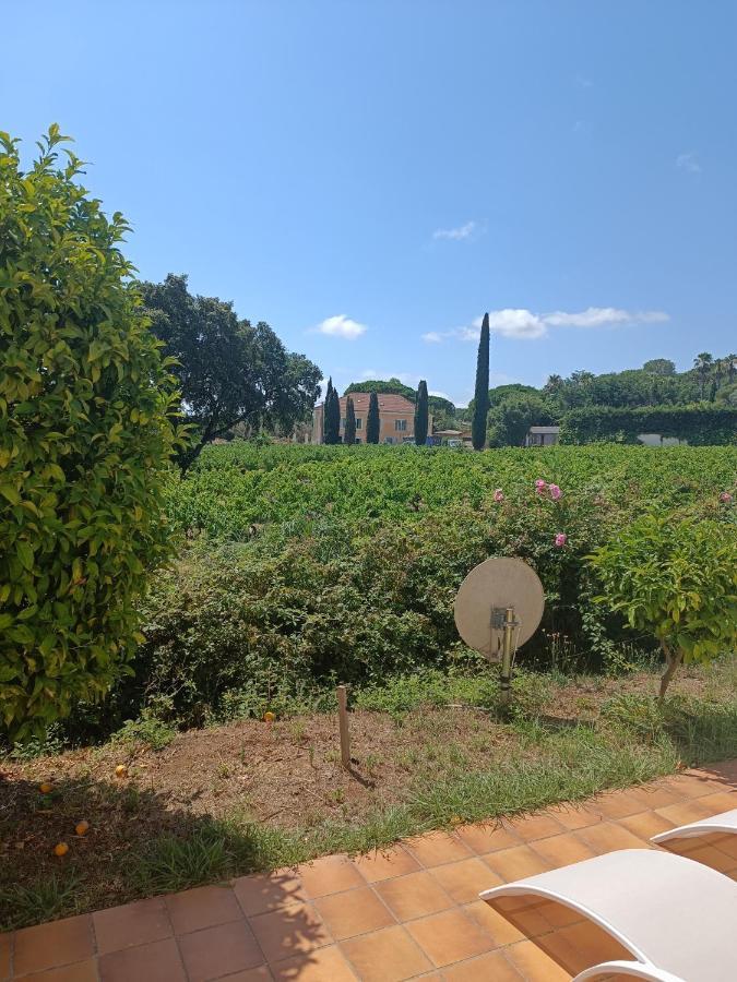 Camp De Base Dei Marres Hotel Ramatuelle Kültér fotó